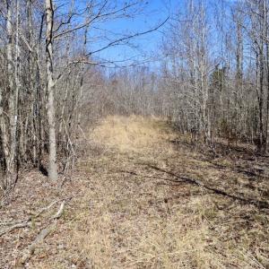 Photo #35 of SOLD property in 2245 Glenland Rd , Hurt, VA 65.0 acres