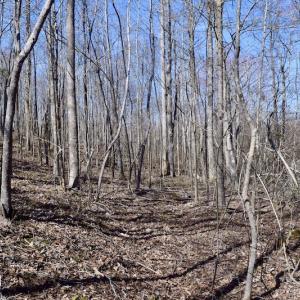 Photo #40 of SOLD property in 2245 Glenland Rd , Hurt, VA 65.0 acres