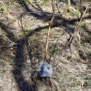 Photo #41 of SOLD property in 2245 Glenland Rd , Hurt, VA 65.0 acres