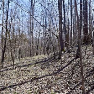 Photo #43 of SOLD property in 2245 Glenland Rd , Hurt, VA 65.0 acres