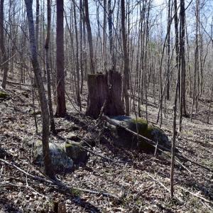 Photo #44 of SOLD property in 2245 Glenland Rd , Hurt, VA 65.0 acres