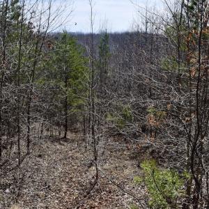Photo #46 of SOLD property in 2245 Glenland Rd , Hurt, VA 65.0 acres
