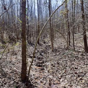 Photo #47 of SOLD property in 2245 Glenland Rd , Hurt, VA 65.0 acres
