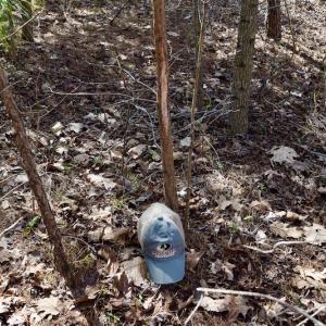 Photo #48 of SOLD property in 2245 Glenland Rd , Hurt, VA 65.0 acres