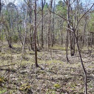 Photo #49 of SOLD property in 2245 Glenland Rd , Hurt, VA 65.0 acres