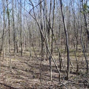 Photo #50 of SOLD property in 2245 Glenland Rd , Hurt, VA 65.0 acres