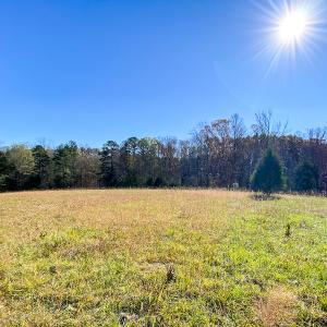 Photo #35 of SOLD property in 9610 Lake Road, Bullock, NC 112.8 acres