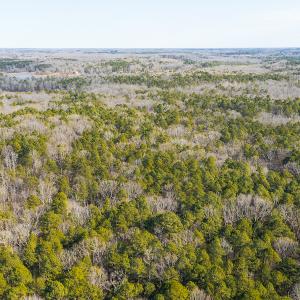 Photo #41 of SOLD property in 9610 Lake Road, Bullock, NC 112.8 acres