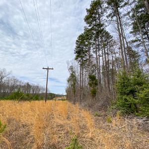 Photo #43 of SOLD property in 9610 Lake Road, Bullock, NC 112.8 acres