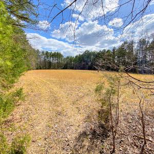 Photo #44 of SOLD property in 9610 Lake Road, Bullock, NC 112.8 acres