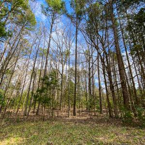 Photo #45 of SOLD property in 9610 Lake Road, Bullock, NC 112.8 acres