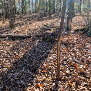Photo #36 of SOLD property in 9610 Lake Road, Bullock, NC 112.8 acres