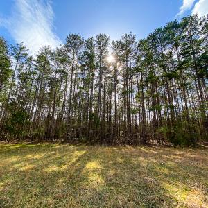 Photo #46 of SOLD property in 9610 Lake Road, Bullock, NC 112.8 acres
