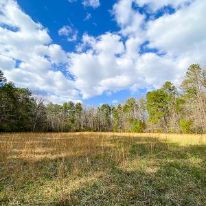 Photo #47 of SOLD property in 9610 Lake Road, Bullock, NC 112.8 acres