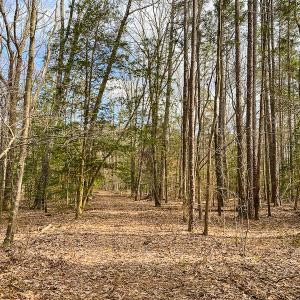 Photo #48 of SOLD property in 9610 Lake Road, Bullock, NC 112.8 acres