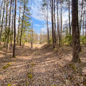 Photo #49 of SOLD property in 9610 Lake Road, Bullock, NC 112.8 acres