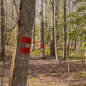 Photo #50 of SOLD property in 9610 Lake Road, Bullock, NC 112.8 acres