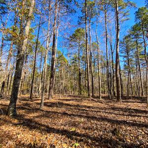 Photo #37 of SOLD property in 9610 Lake Road, Bullock, NC 112.8 acres