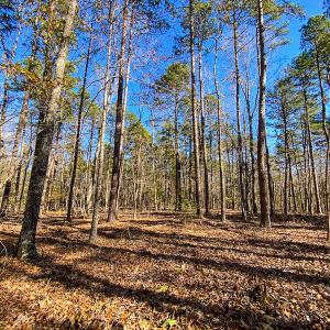 Photo #37 of SOLD property in 9610 Lake Road, Bullock, NC 112.8 acres