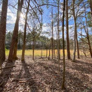 Photo #51 of SOLD property in 9610 Lake Road, Bullock, NC 112.8 acres