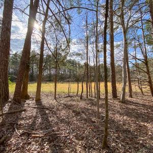 Photo #51 of SOLD property in 9610 Lake Road, Bullock, NC 112.8 acres