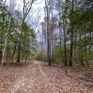 Photo #52 of SOLD property in 9610 Lake Road, Bullock, NC 112.8 acres