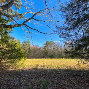 Photo #54 of SOLD property in 9610 Lake Road, Bullock, NC 112.8 acres