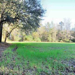 Photo #10 of Off Union School Road, Coward, SC 78.3 acres