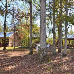 Photo #24 of Off Union School Road, Coward, SC 78.3 acres