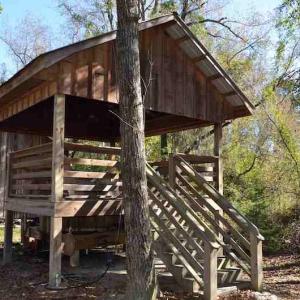 Photo #25 of Off Union School Road, Coward, SC 78.3 acres
