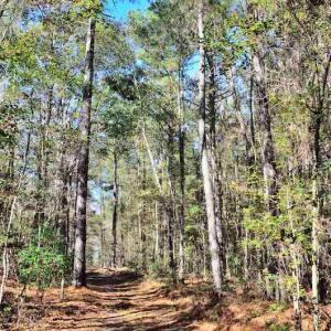 Photo #28 of Off Union School Road, Coward, SC 78.3 acres