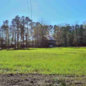 Photo #30 of Off Union School Road, Coward, SC 78.3 acres