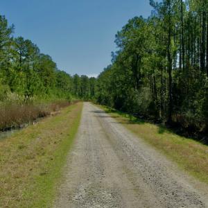 Photo #26 of SOLD property in Off Sandy Point Road , Scranton , NC 15.9 acres