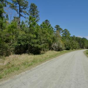Photo #30 of SOLD property in Off Sandy Point Road , Scranton , NC 15.9 acres