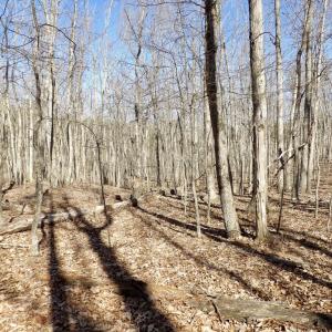 Photo #19 of SOLD property in Jacoby Rd, Louisa, VA 28.9 acres