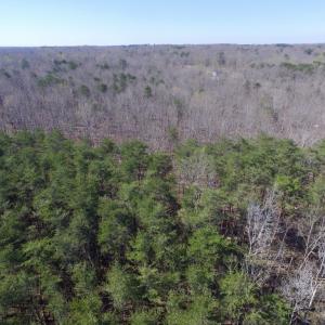 Photo #21 of SOLD property in Jacoby Rd, Louisa, VA 28.9 acres