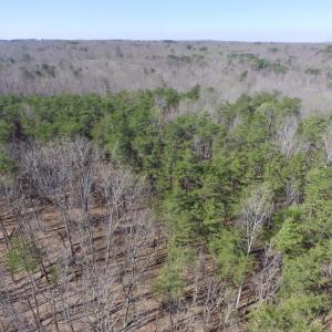 Photo #22 of SOLD property in Jacoby Rd, Louisa, VA 28.9 acres
