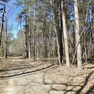 Photo #23 of SOLD property in Jacoby Rd, Louisa, VA 28.9 acres