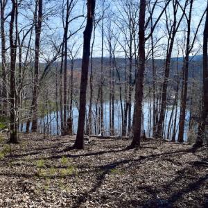 Photo #12 of Water View Ct, Gretna, VA 1.0 acres