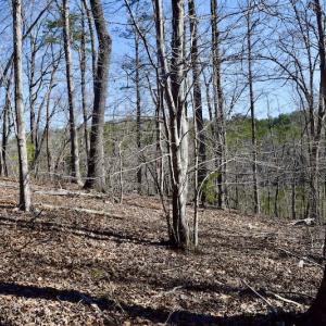 Photo #13 of Water View Ct, Gretna, VA 1.0 acres