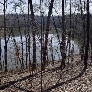 Photo #14 of Water View Ct, Gretna, VA 1.0 acres