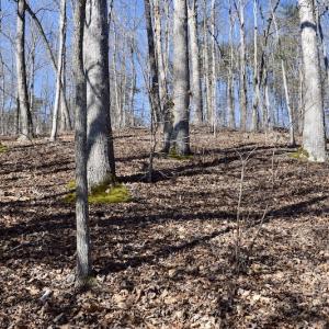 Photo #16 of Water View Ct, Gretna, VA 1.0 acres