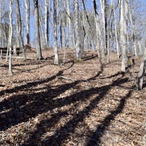 Photo #17 of Water View Ct, Gretna, VA 1.0 acres