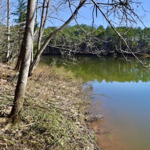 Photo #18 of Water View Ct, Gretna, VA 1.0 acres