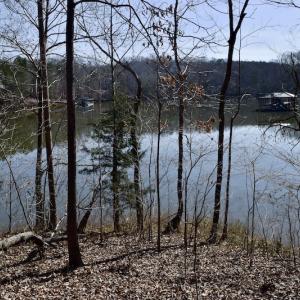 Photo #19 of Water View Ct, Gretna, VA 1.0 acres