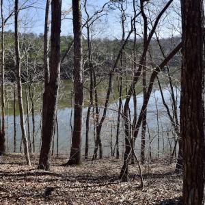 Photo #20 of Water View Ct, Gretna, VA 1.0 acres