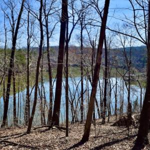 Photo #21 of Water View Ct, Gretna, VA 1.0 acres