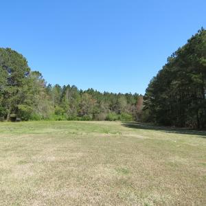 Photo #12 of SOLD property in 422 Hedgpeth Road, Fairmont, NC 12.9 acres
