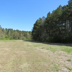 Photo #13 of SOLD property in 422 Hedgpeth Road, Fairmont, NC 12.9 acres