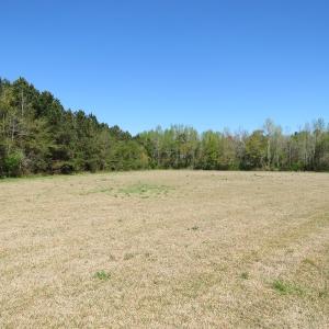 Photo #14 of SOLD property in 422 Hedgpeth Road, Fairmont, NC 12.9 acres